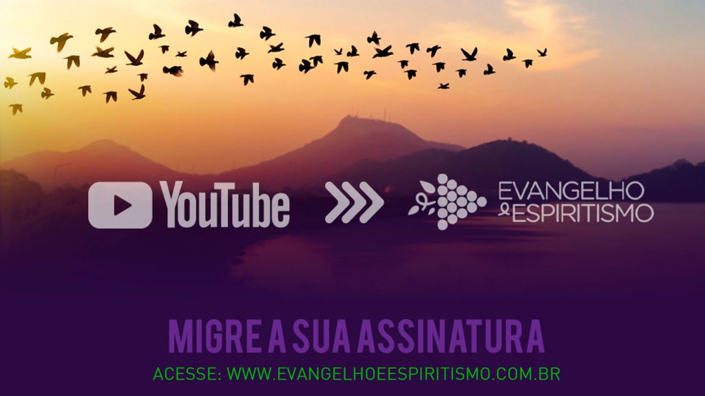 JÁ FEZ A SUA MIGRAÇÃO DO YOUTUBE PARA A NOVA PLATAFORMA? 13