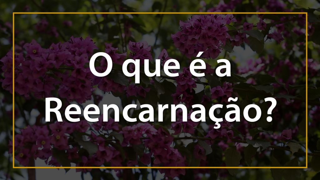 O QUE É A REENCARNAÇÃO? 13