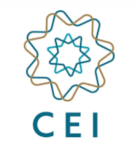 Logo do International Spiritist Council