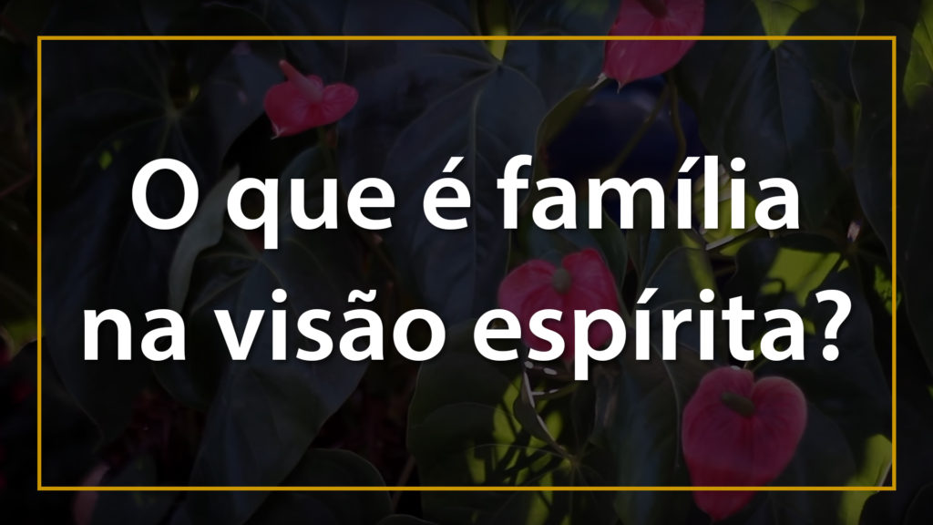 O QUE É A FAMÍLIA NA VISÃO ESPÍRITA? 8