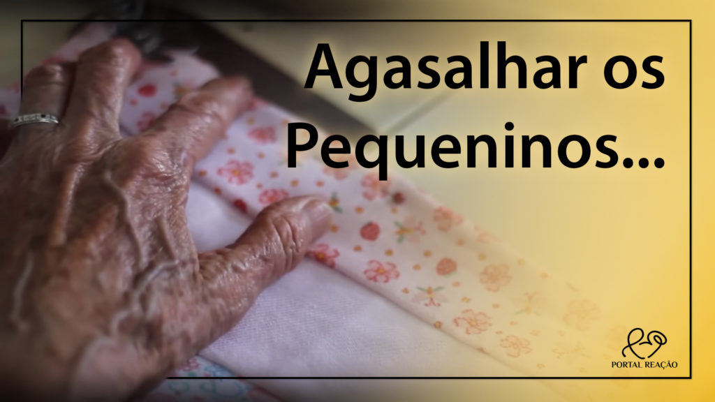 AGASALHAR OS PEQUENINOS 15