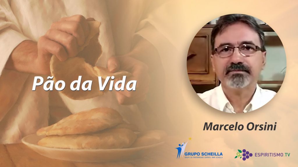 PÃO DA VIDA 8