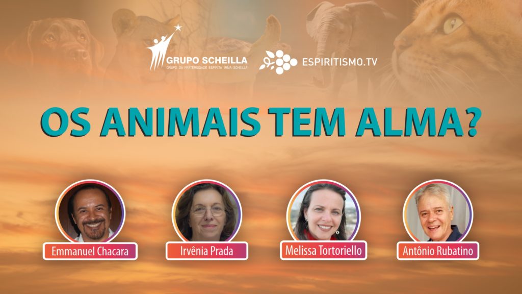 OS ANIMAIS TEM ALMA? 6