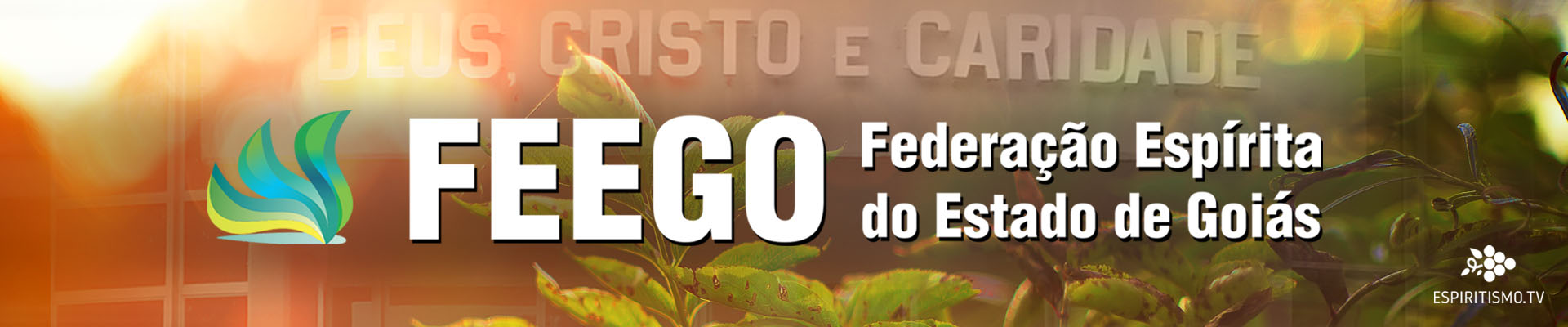 FEEGO - Federação Espírita do Estado de Goiás 1