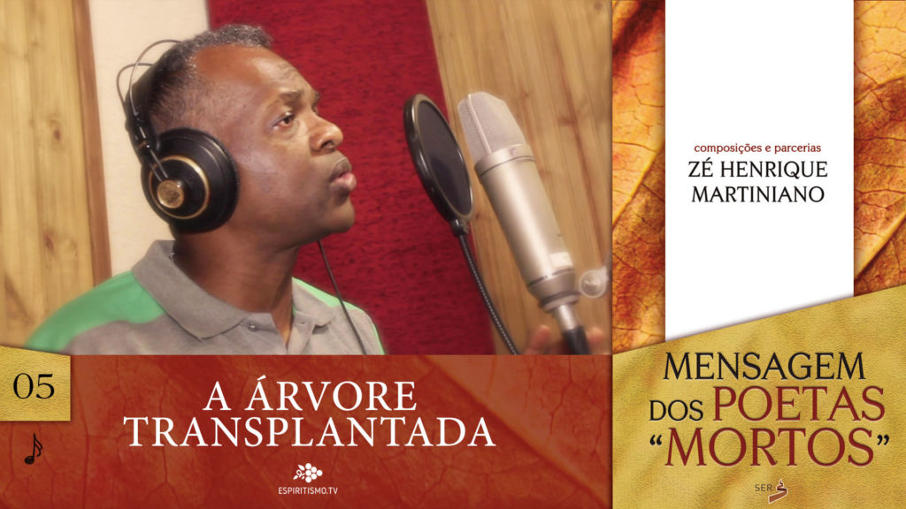 MÚSICA - A ÁRVORE TRANSPLANTADA 17