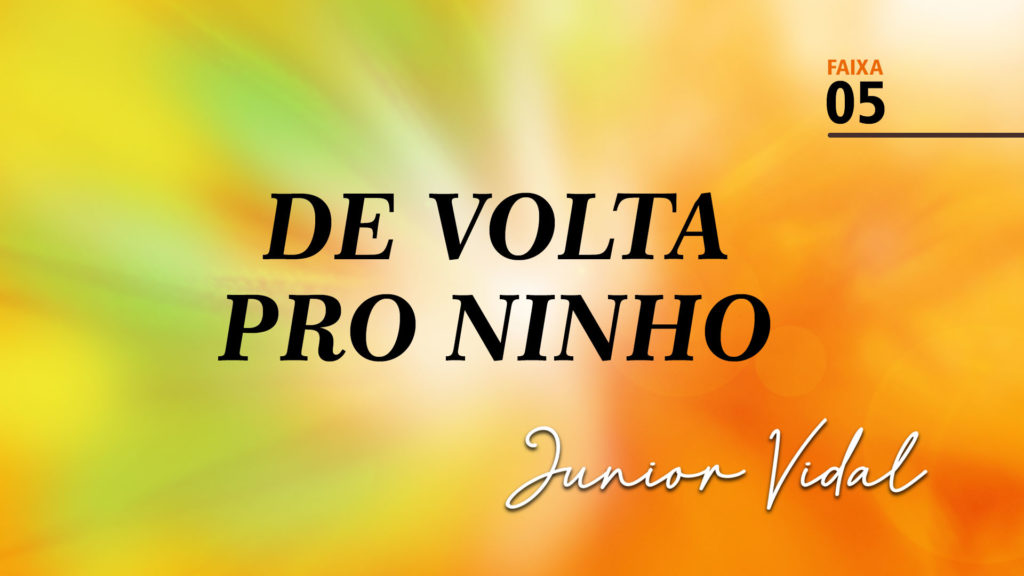 MÚSICA – #05 - DE VOLTA PRO NINHO 13