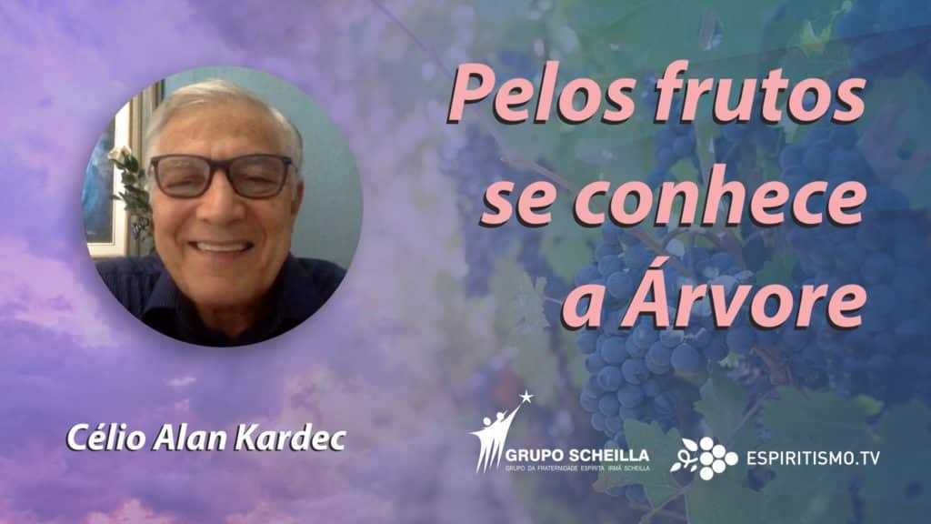 PELOS FRUTOS SE CONHECE A ÁRVORE 23