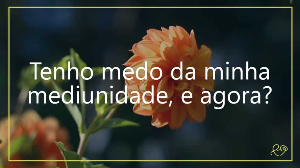 TENHO MEDO DA MINHA MEDIUNIDADE, E AGORA? 15