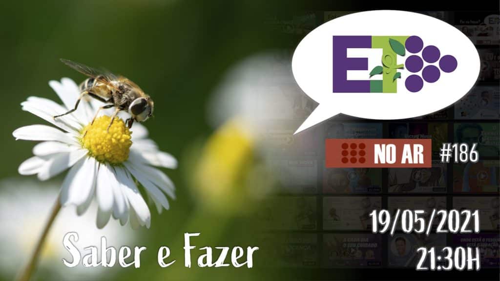 E.TV NO AR | #186 | 19.05.2021 | SABER E FAZER 14