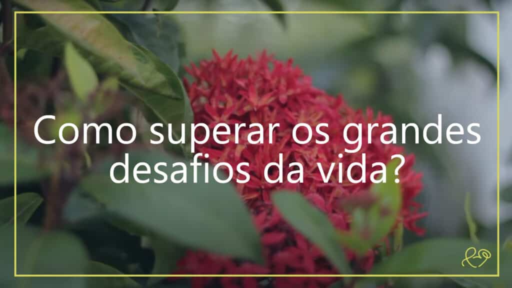 COMO SUPERAR OS GRANDES DESAFIOS DA VIDA? 2