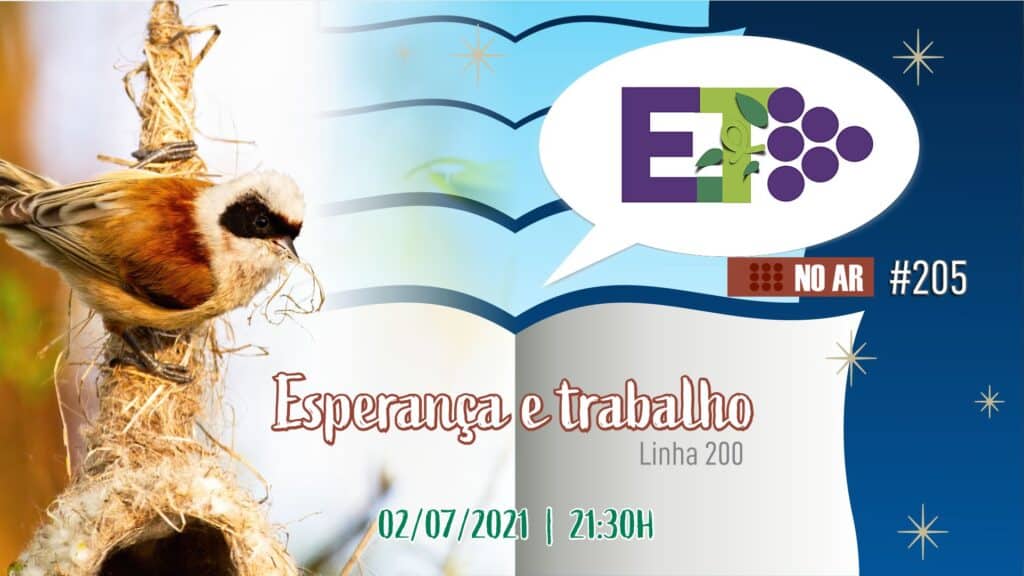 E.TV NO AR | #205 | 02.07.2021 | ESPERANÇA E TRABALHO 7