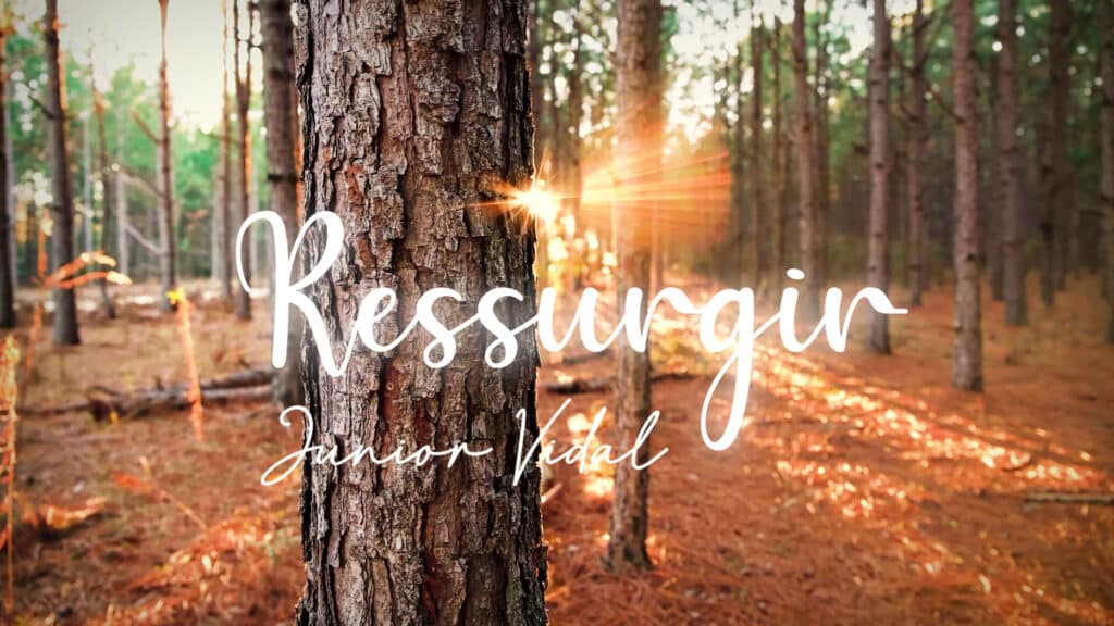 MÚSICA – RESSURGIR 13