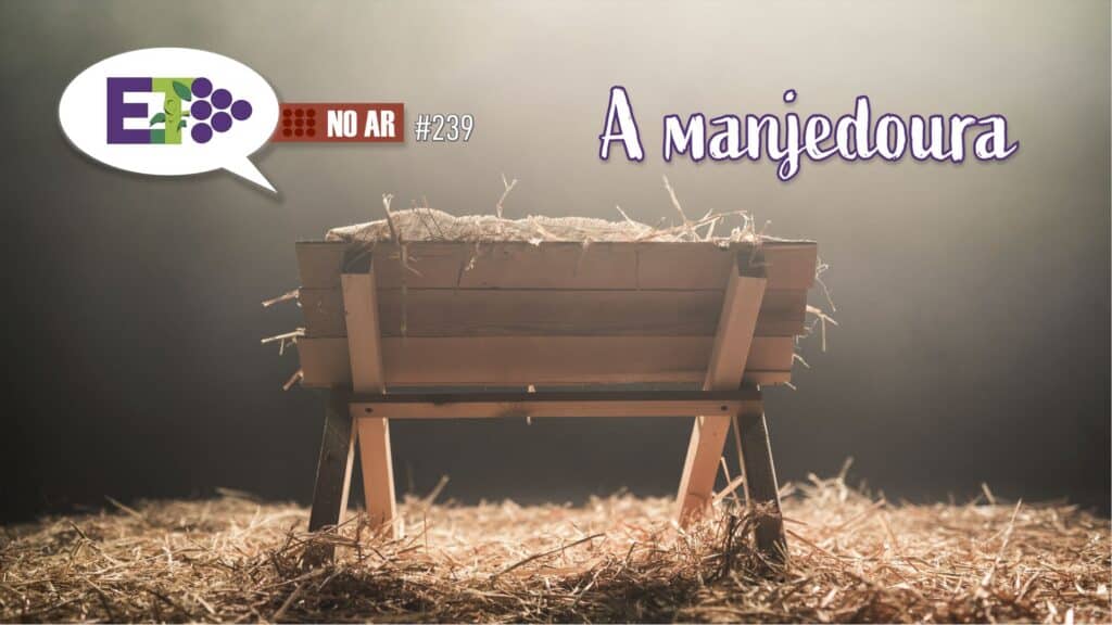 E.TV NO AR | #239 | A MANJEDOURA 6