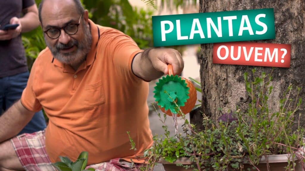 PLANTAS OUVEM? 10