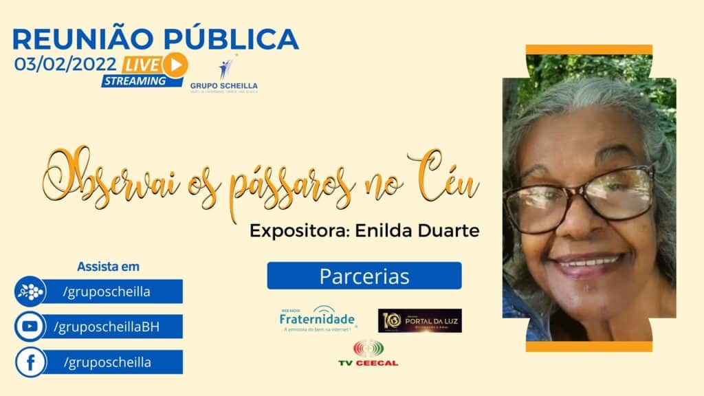 OBSERVAI OS PÁSSAROS NO CÉU 12