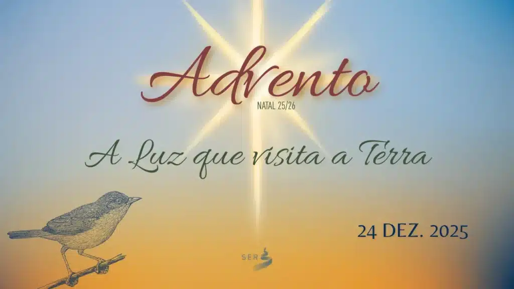 DIA 25 – A LUZ QUE VISITA A TERRA 12