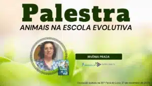 Nossos Vídeos 107