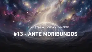 Nossos Vídeos 11