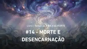 Nossos Vídeos 6